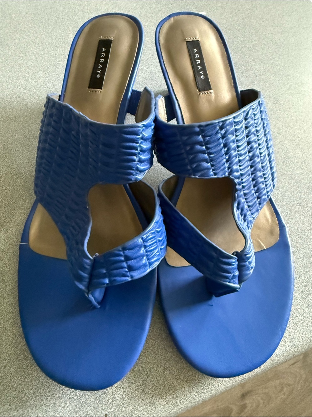 Array Royal Blue Woven Toe-Loop Sandals for Women NWOT